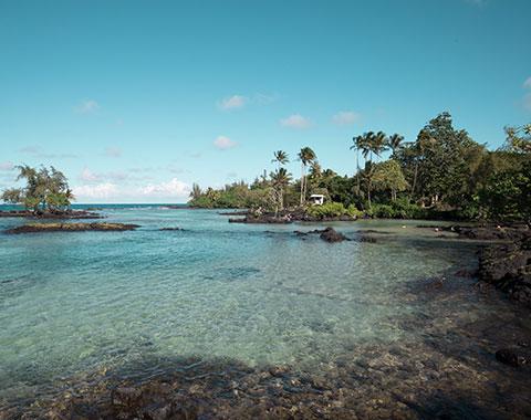 University of Hawaii, Hilo Content 06