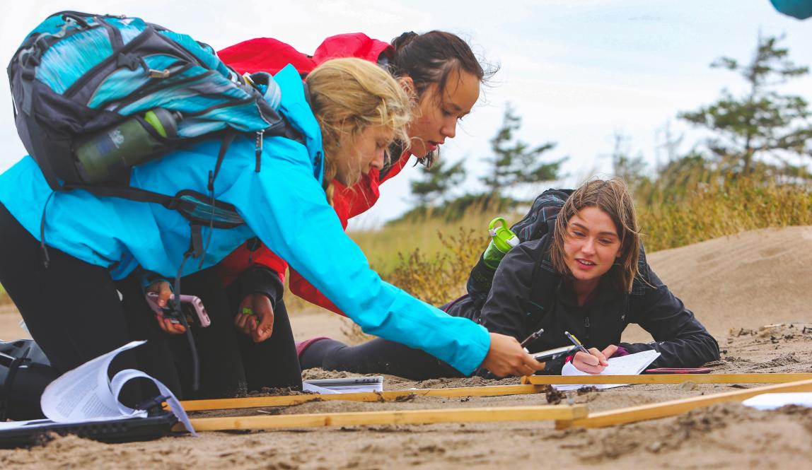 Dalhousie University - Experiential Learning