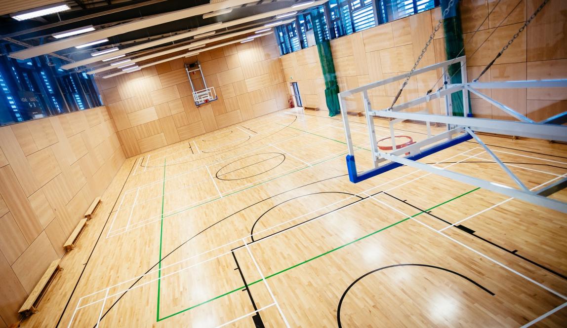 Dublin City University - Basketball