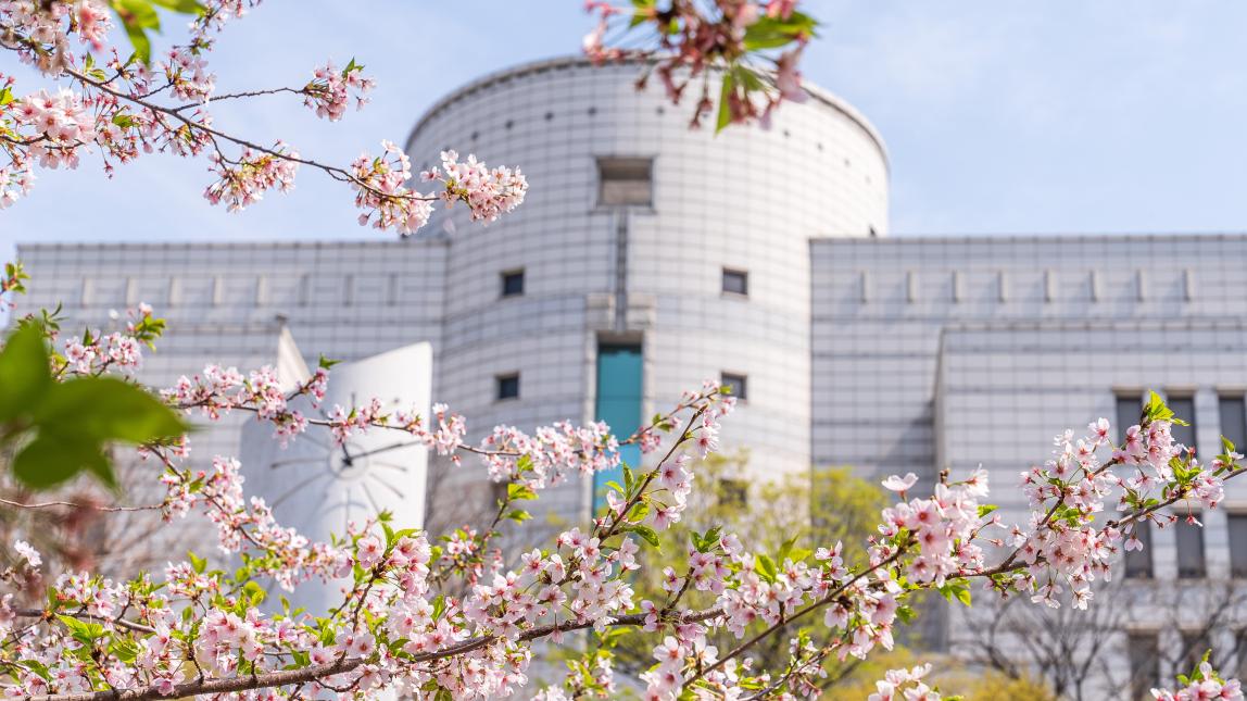 Hanyang University Campus Flowers