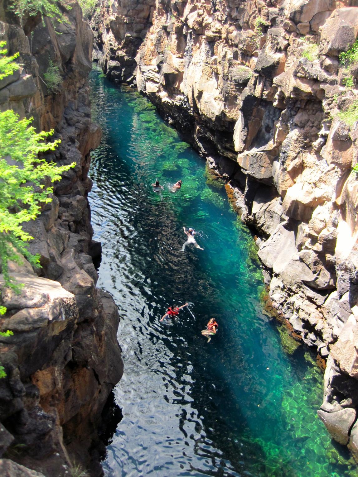 students swimming in Las Grietas on Isla San Santa Cruz