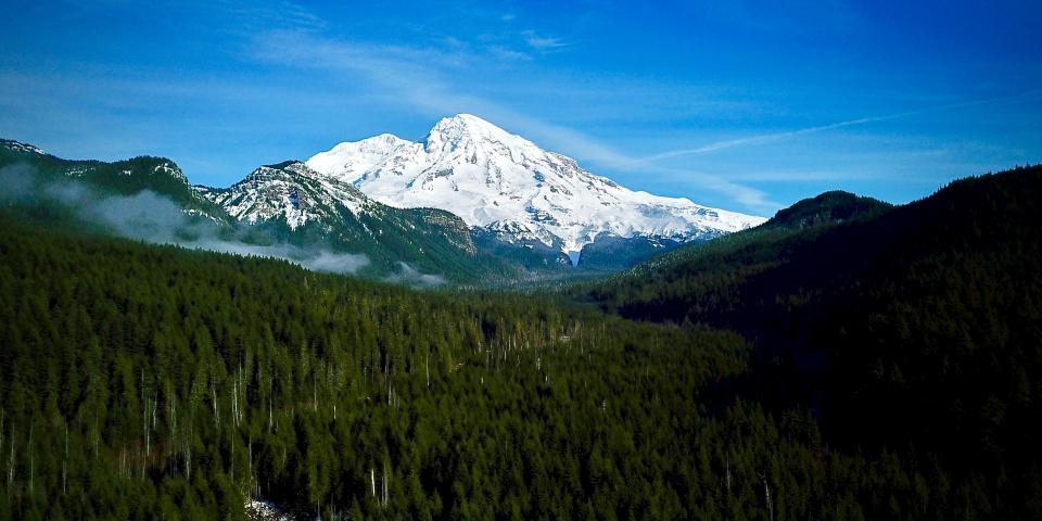 Mount Rainier