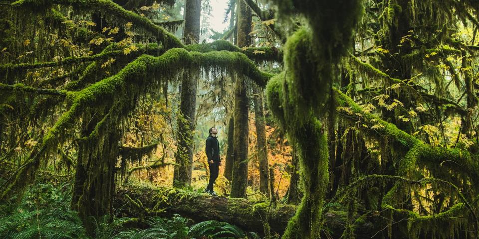 Olympic National Park