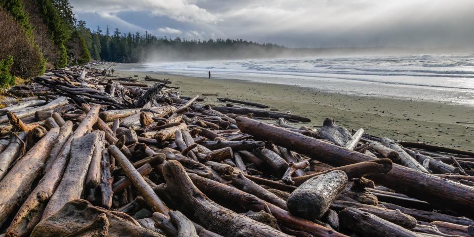 Tofino Beach