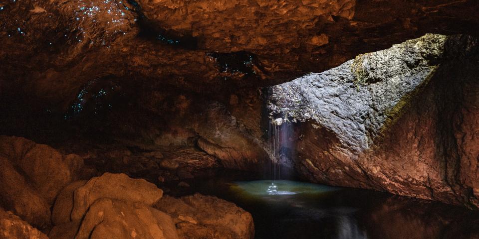 a cave with glowing worms on the cave ceiling