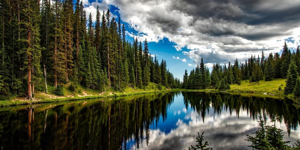 Lake and forest view in Colorado