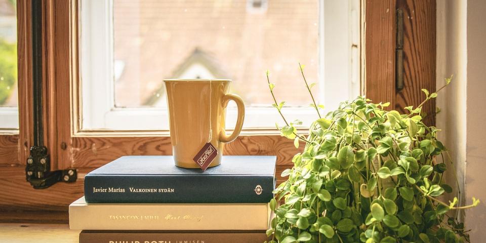 Books on a window