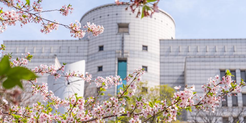 Hanyang University Campus Flowers